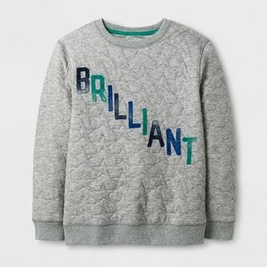 Gray Sweatshirt Brilliant Logo on Front